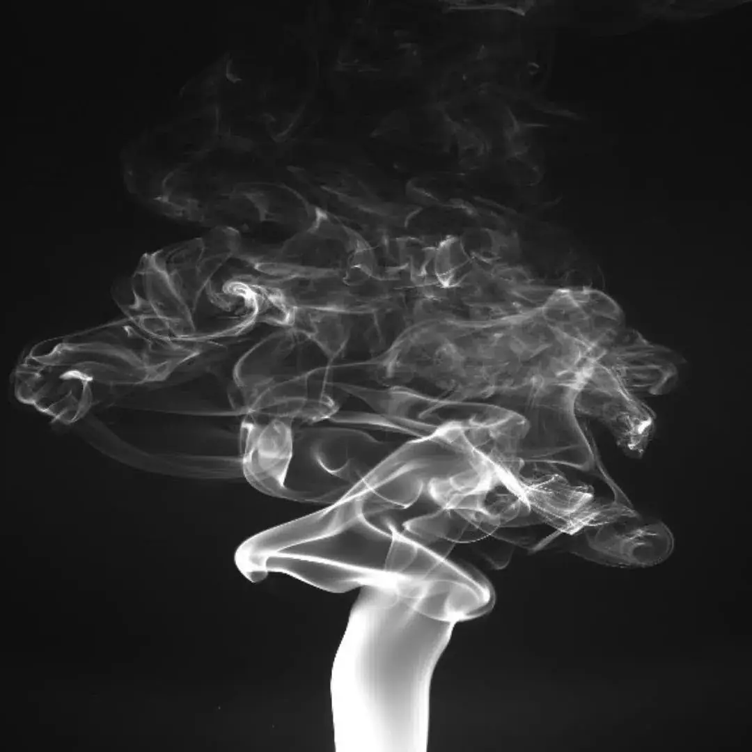 GO UP IN SMOKE